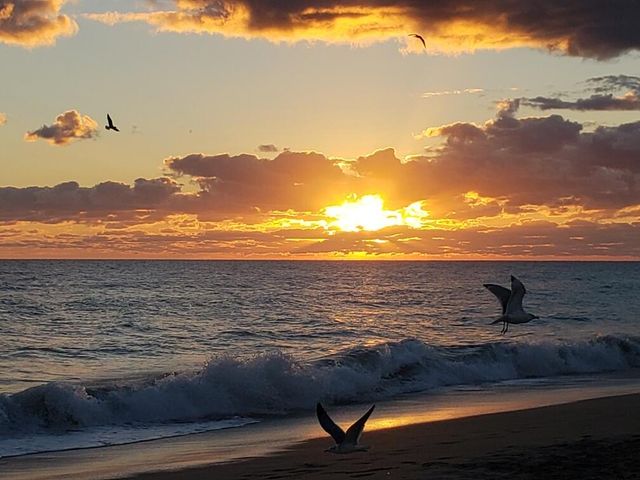 109 E East Caribbean, Port St. Lucie, Port St Lucie, FL 34952