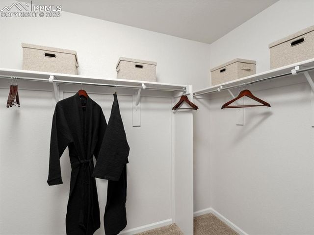 6683 Roundtail Way, Colorado Springs, CO 80925