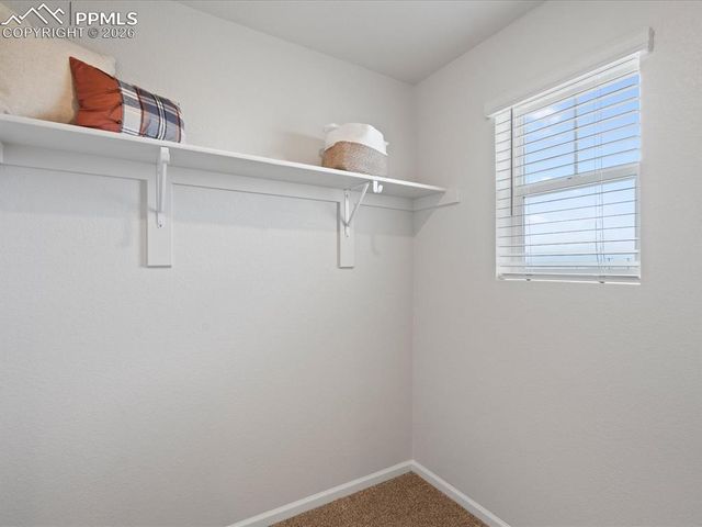 6683 Roundtail Way, Colorado Springs, CO 80925