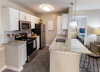 100 Ashford Gables Drive 8A-210, Dunwoody, GA 30338