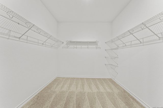 426 White Heron Way, Marion, TX 78124