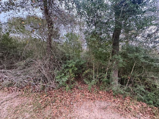 0 N Bonnie Lake Dr, Hempstead, TX 77445