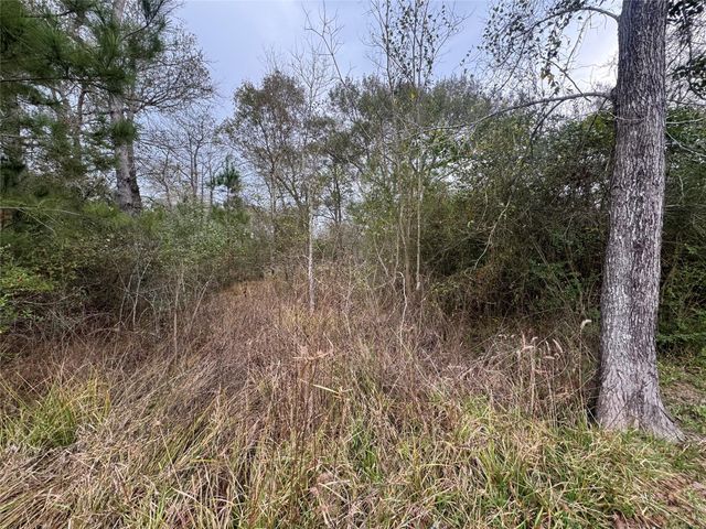 0 N Bonnie Lake Dr, Hempstead, TX 77445