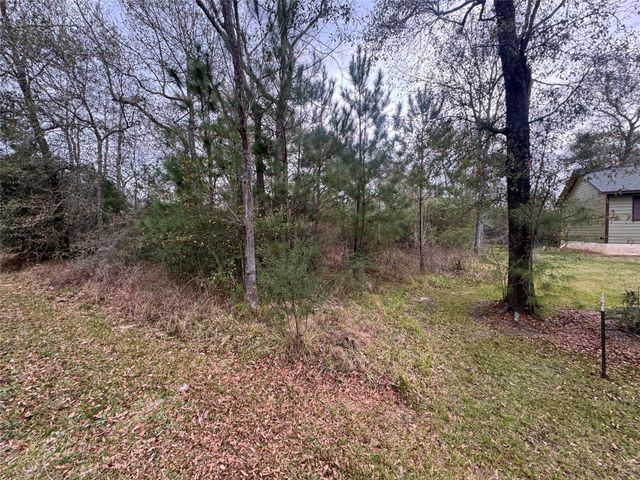 0 N Bonnie Lake Dr, Hempstead, TX 77445