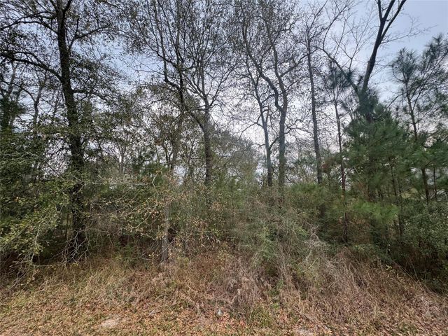 0 N Bonnie Lake Dr, Hempstead, TX 77445