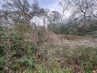 0 N Bonnie Lake Dr, Hempstead, TX 77445