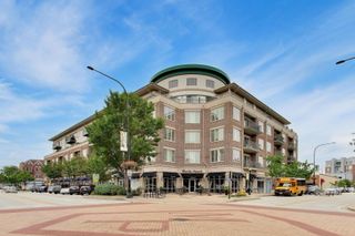 100 S Emerson Street 315, Mount Prospect, IL 60056