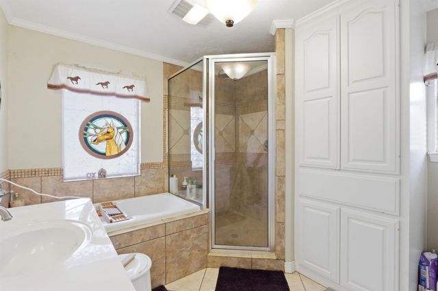 25404 Decker Prairie Rosehill Road, Magnolia, TX 77355