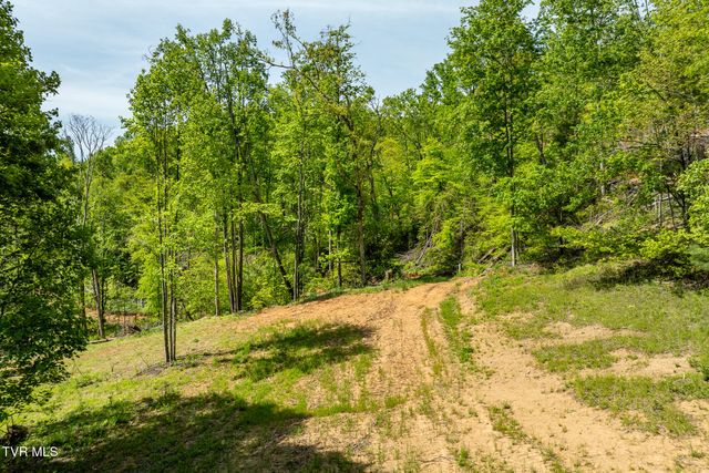 177 Fork Mountain Road, Roan Mountain, TN 37687