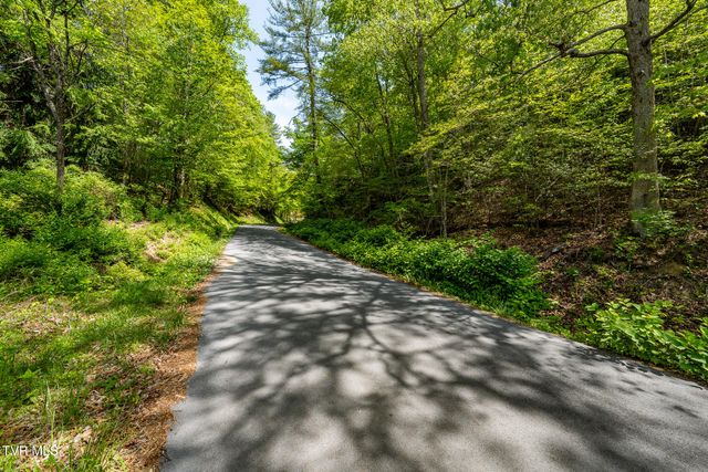 177 Fork Mountain Road, Roan Mountain, TN 37687