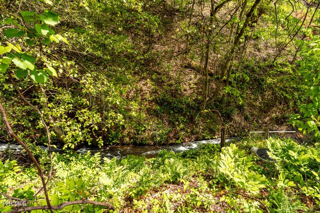177 Fork Mountain Road, Roan Mountain, TN 37687