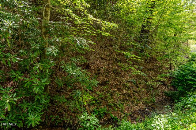177 Fork Mountain Road, Roan Mountain, TN 37687