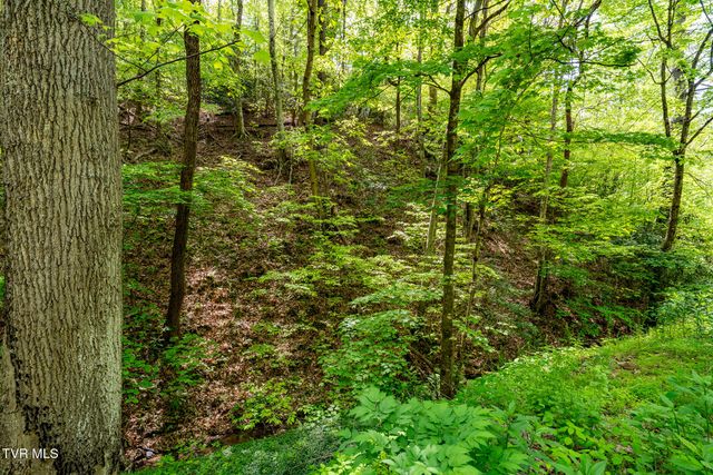 177 Fork Mountain Road, Roan Mountain, TN 37687