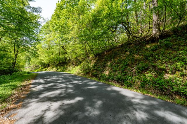 177 Fork Mountain Road, Roan Mountain, TN 37687