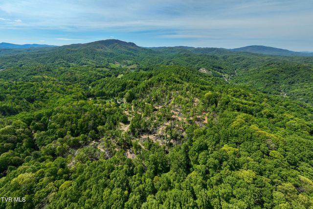 177 Fork Mountain Road, Roan Mountain, TN 37687