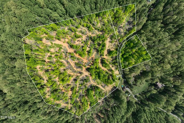 177 Fork Mountain Road, Roan Mountain, TN 37687