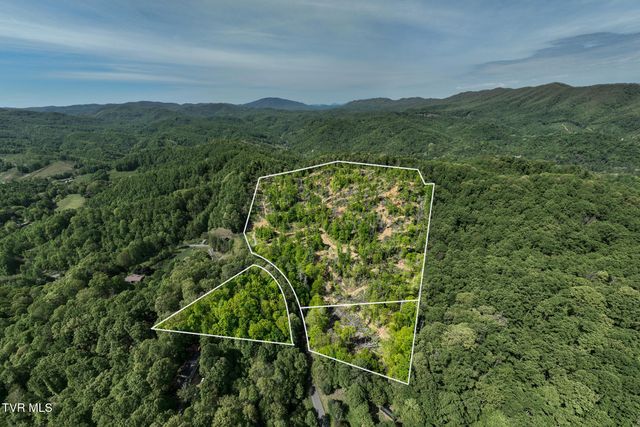 177 Fork Mountain Road, Roan Mountain, TN 37687