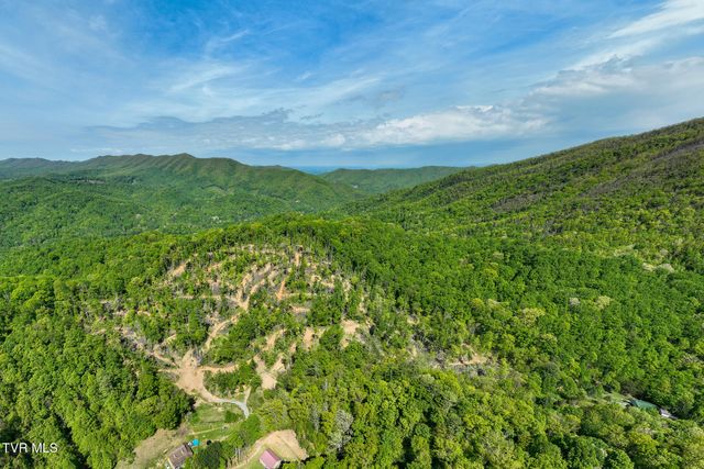177 Fork Mountain Road, Roan Mountain, TN 37687