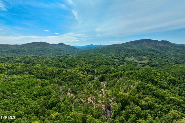 177 Fork Mountain Road, Roan Mountain, TN 37687