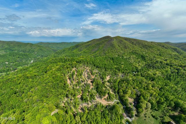 177 Fork Mountain Road, Roan Mountain, TN 37687