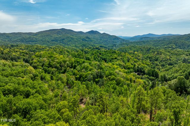 177 Fork Mountain Road, Roan Mountain, TN 37687