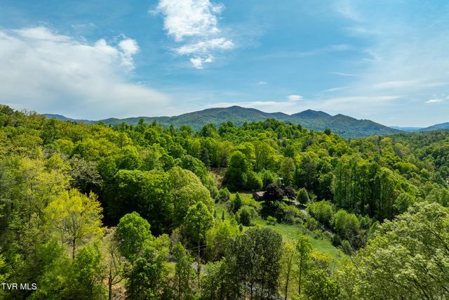 177 Fork Mountain Road, Roan Mountain, TN 37687