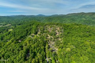 177 Fork Mountain Road, Roan Mountain, TN 37687