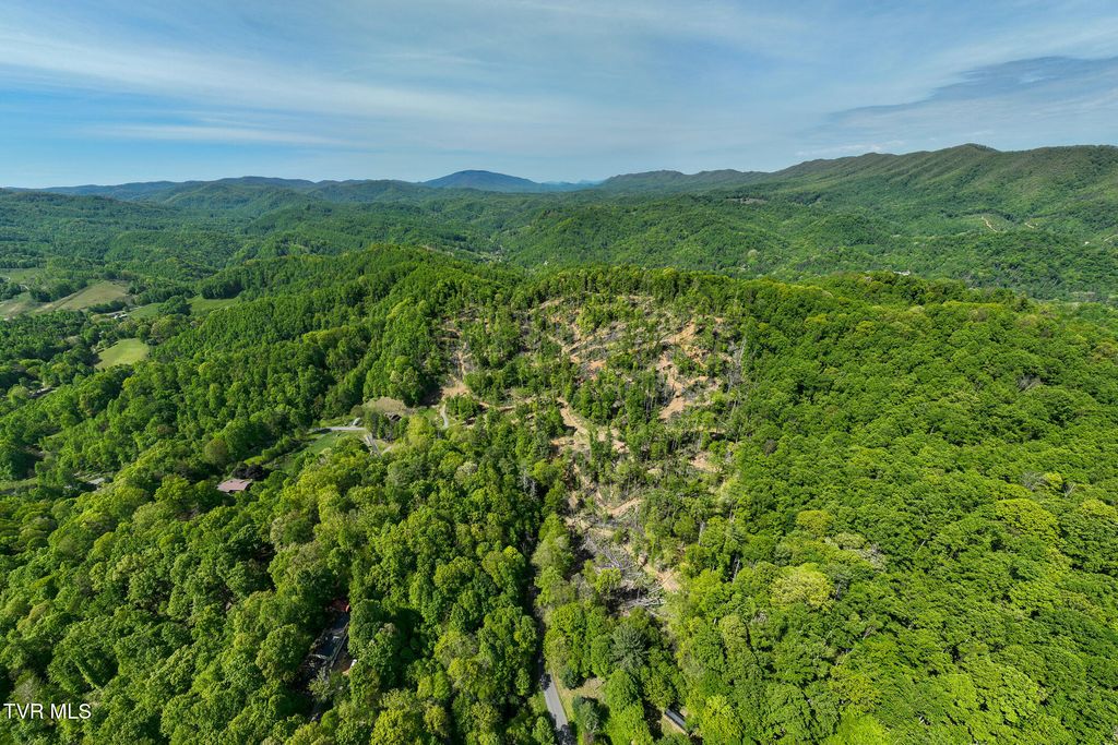 177 Fork Mountain Road, Roan Mountain, TN 37687
