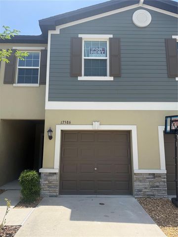 17586 NECTAR FLUME DRIVE, Land O Lakes, FL 34638