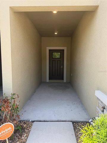 17586 NECTAR FLUME DRIVE, Land O Lakes, FL 34638