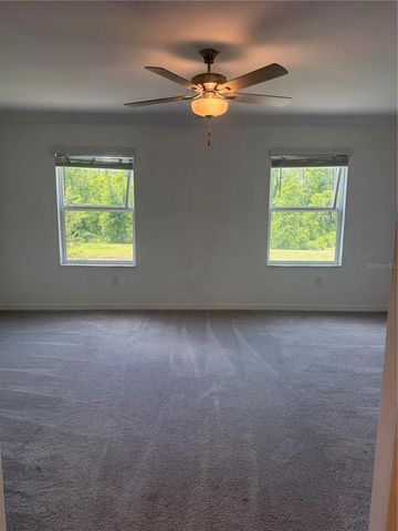 17586 NECTAR FLUME DRIVE, Land O Lakes, FL 34638