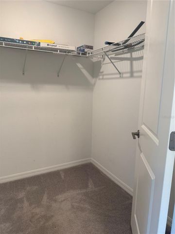 17586 NECTAR FLUME DRIVE, Land O Lakes, FL 34638