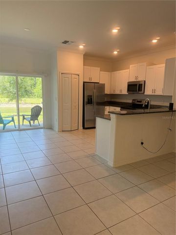 17586 NECTAR FLUME DRIVE, Land O Lakes, FL 34638