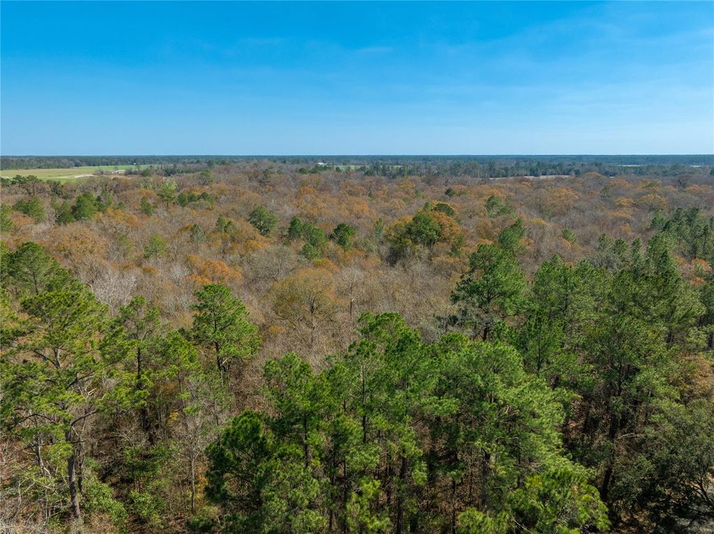 Image 18 of property listing at FOURACRE CIRCLE, Callahan, FL 32011