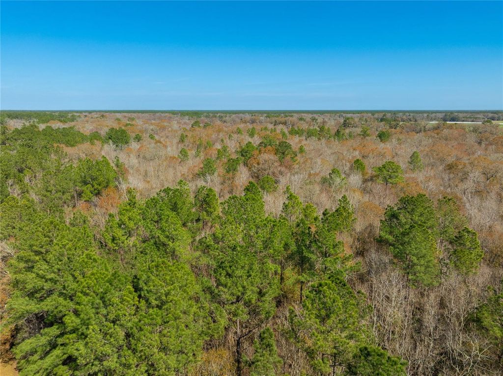 Image 20 of property listing at FOURACRE CIRCLE, Callahan, FL 32011