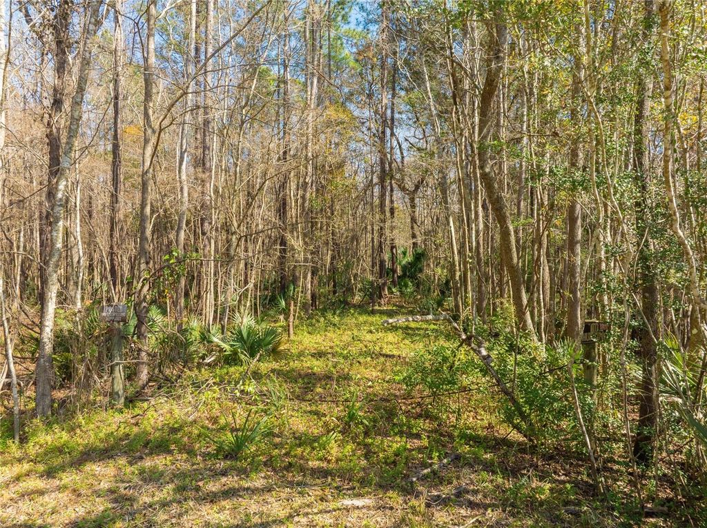 Image 30 of property listing at FOURACRE CIRCLE, Callahan, FL 32011