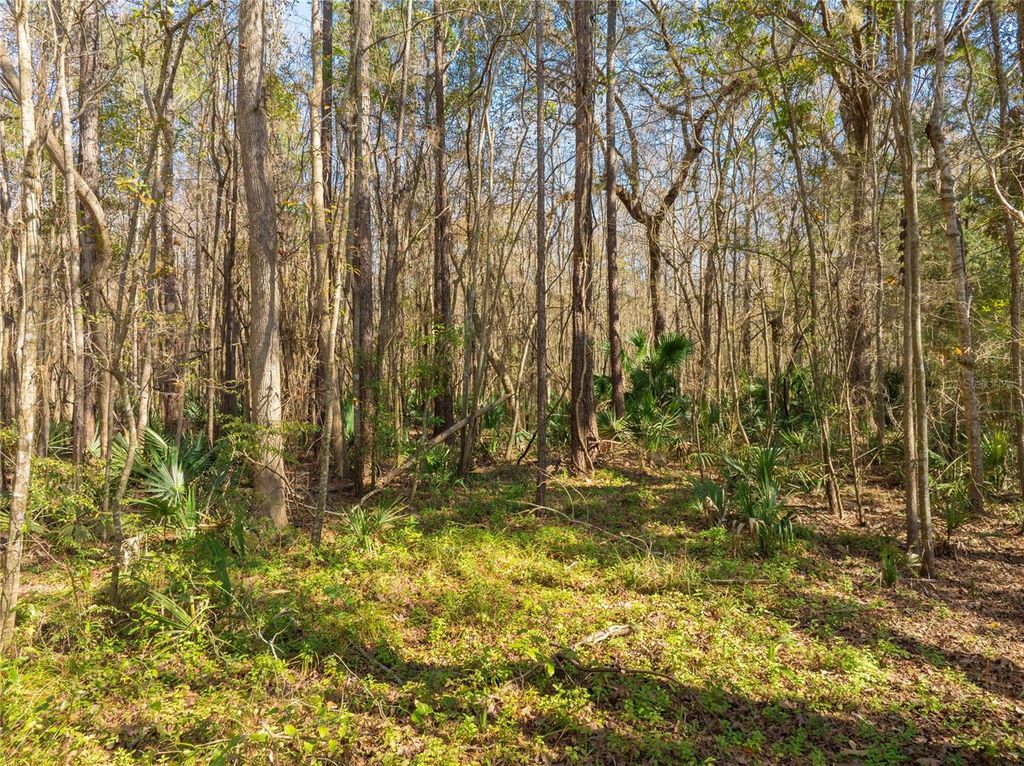 Image 31 of property listing at FOURACRE CIRCLE, Callahan, FL 32011