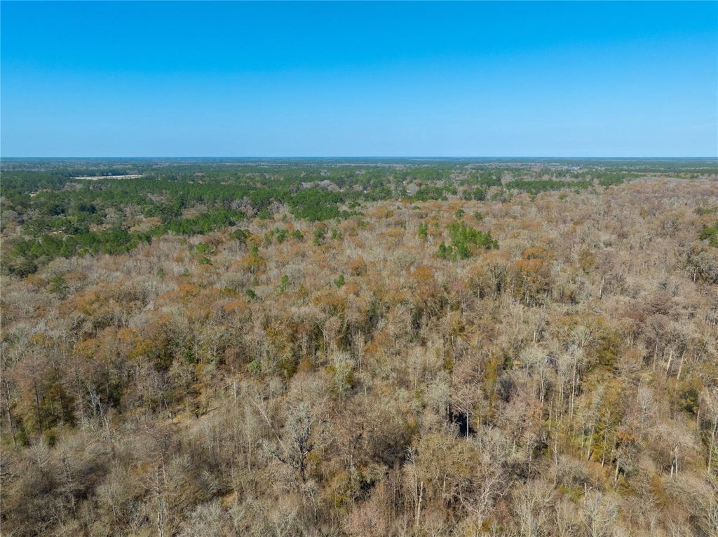 Image 8 of property listing at FOURACRE CIRCLE, Callahan, FL 32011