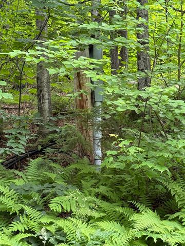 239 Small Road, Brookfield, VT 05036