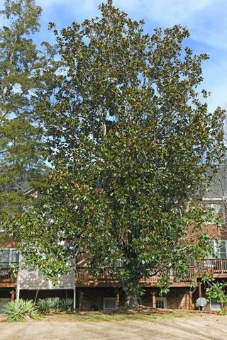 1507 Legacy Cove Lane, Roswell, GA 30075