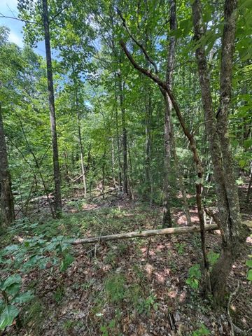 TR 3 & 4 Lakeland Drive, Ellijay, GA 30540