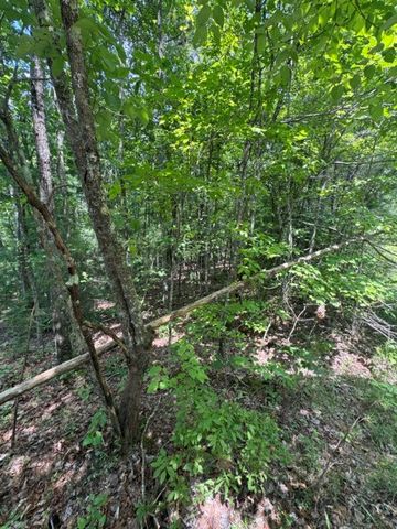 TR 3 & 4 Lakeland Drive, Ellijay, GA 30540
