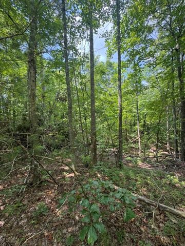 TR 3 & 4 Lakeland Drive, Ellijay, GA 30540