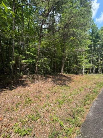 TR 3 & 4 Lakeland Drive, Ellijay, GA 30540