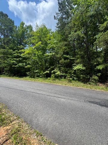 TR 3 & 4 Lakeland Drive, Ellijay, GA 30540