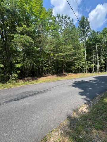 TR 3 & 4 Lakeland Drive, Ellijay, GA 30540