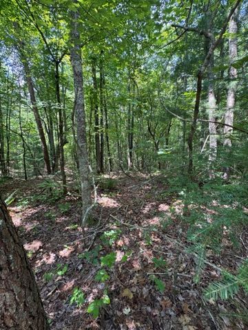 TR 3 & 4 Lakeland Drive, Ellijay, GA 30540