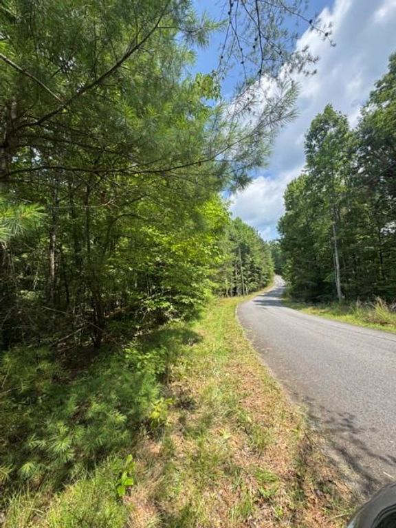 TR 3 & 4 Lakeland Drive, Ellijay, GA 30540