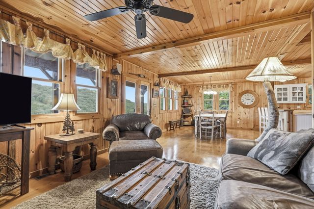 236 Crooked Lane, Blue Eye, MO 65611