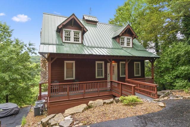 236 Crooked Lane, Blue Eye, MO 65611